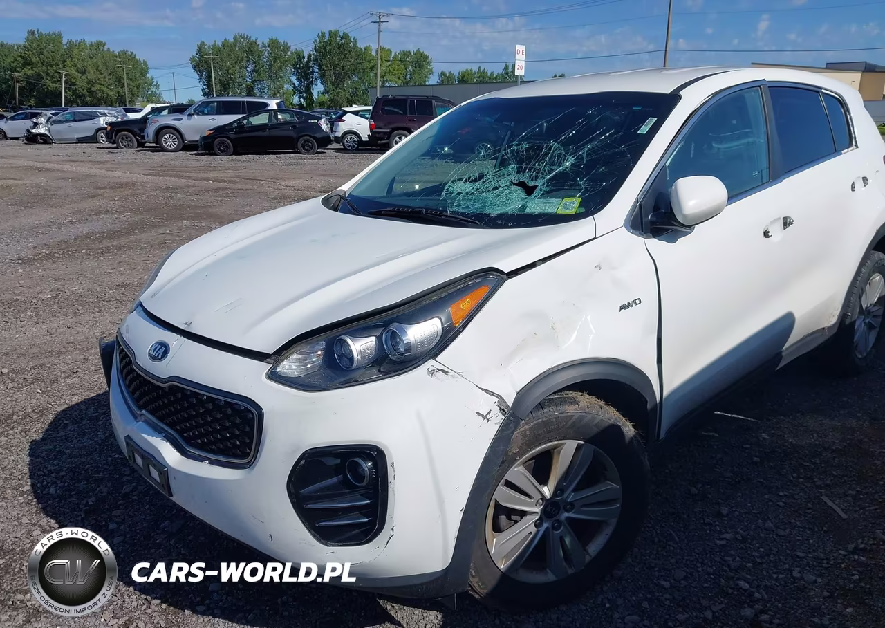 2019 Kia Sportage Lx VIN:KNDPMCAC0K7534140 - 17