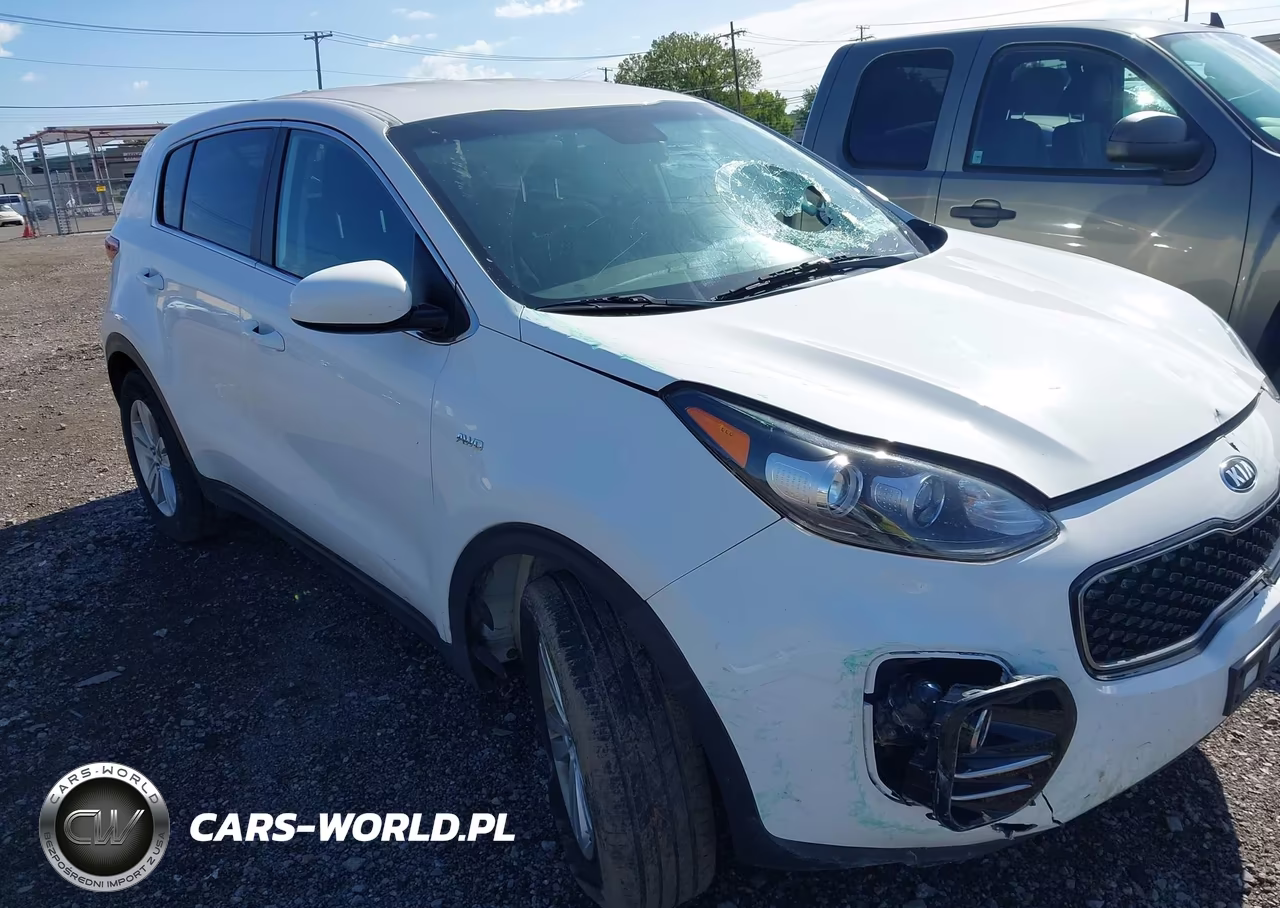 2019 Kia Sportage Lx VIN:KNDPMCAC0K7534140 - 18