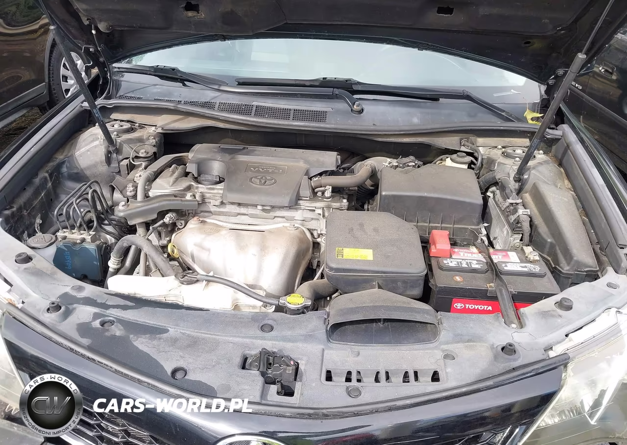 2014 Toyota Camry Se VIN:4T1BF1FK2EU430243 - 10