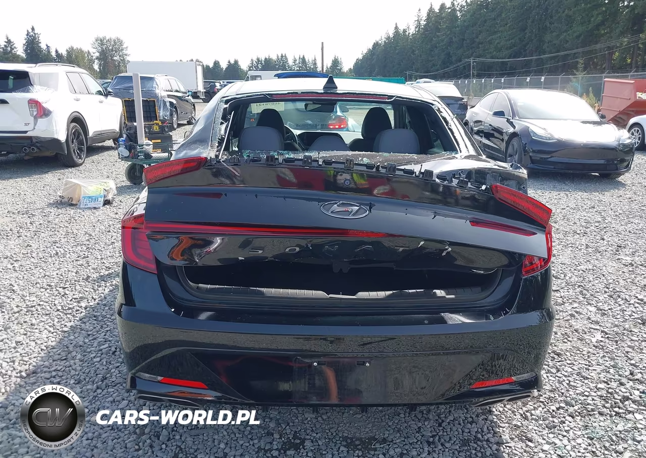 2022 Hyundai Sonata N Line Night Edition VIN:5NPEK4JC1NH146448 - 17