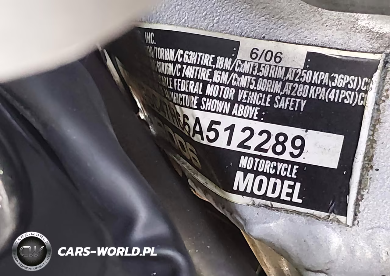 2006 Honda Gl1800 VIN:1HFSC47H66A512289 - 10