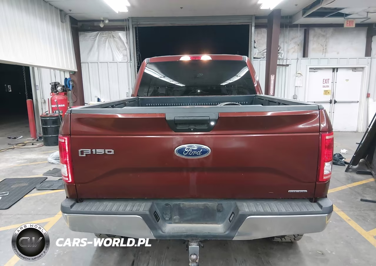 2016 Ford F-150 Xlt VIN:1FTFW1EF8GKE36296 - 17