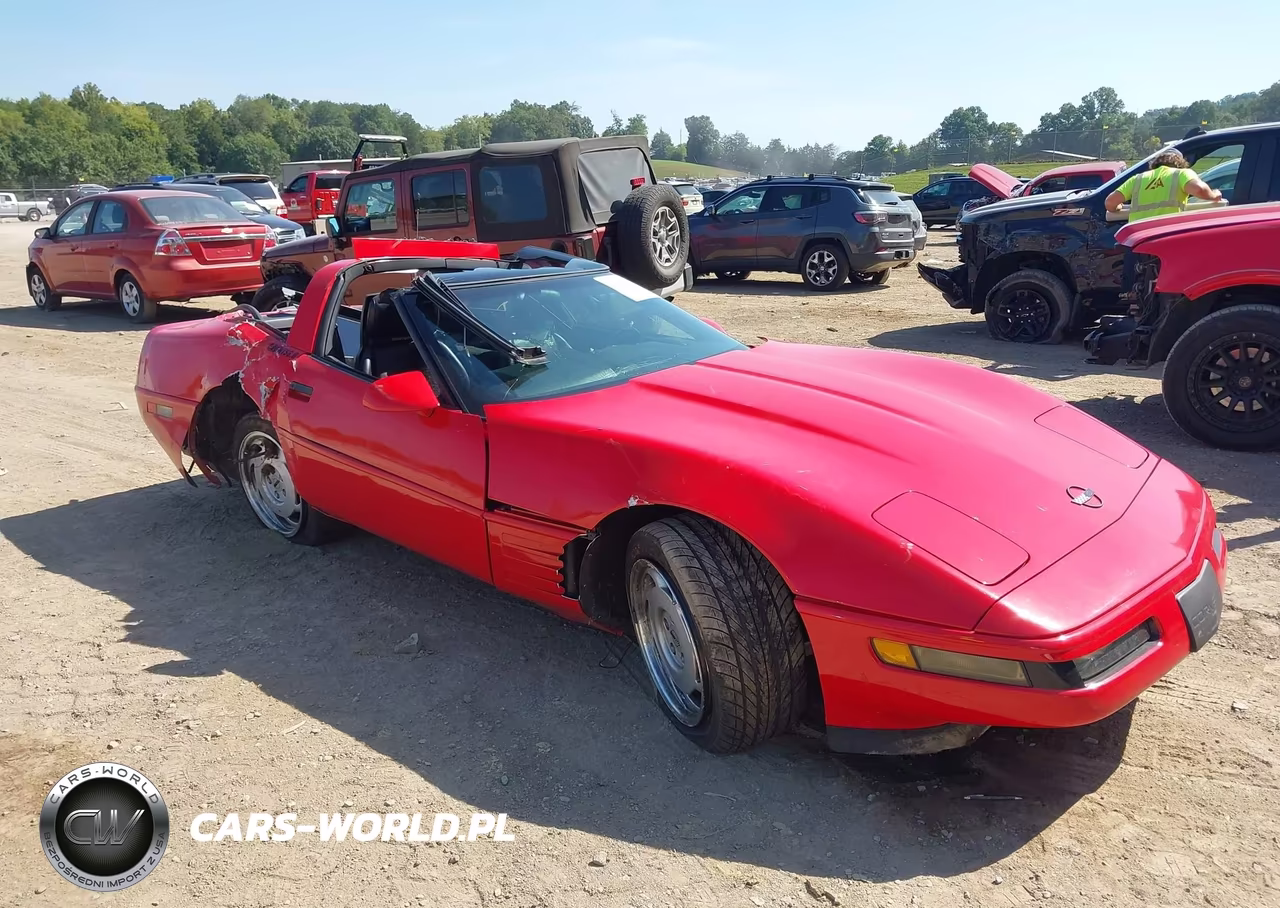 1992 Chevrolet Corvette VIN:1G1YY23P1N5108775 - 1