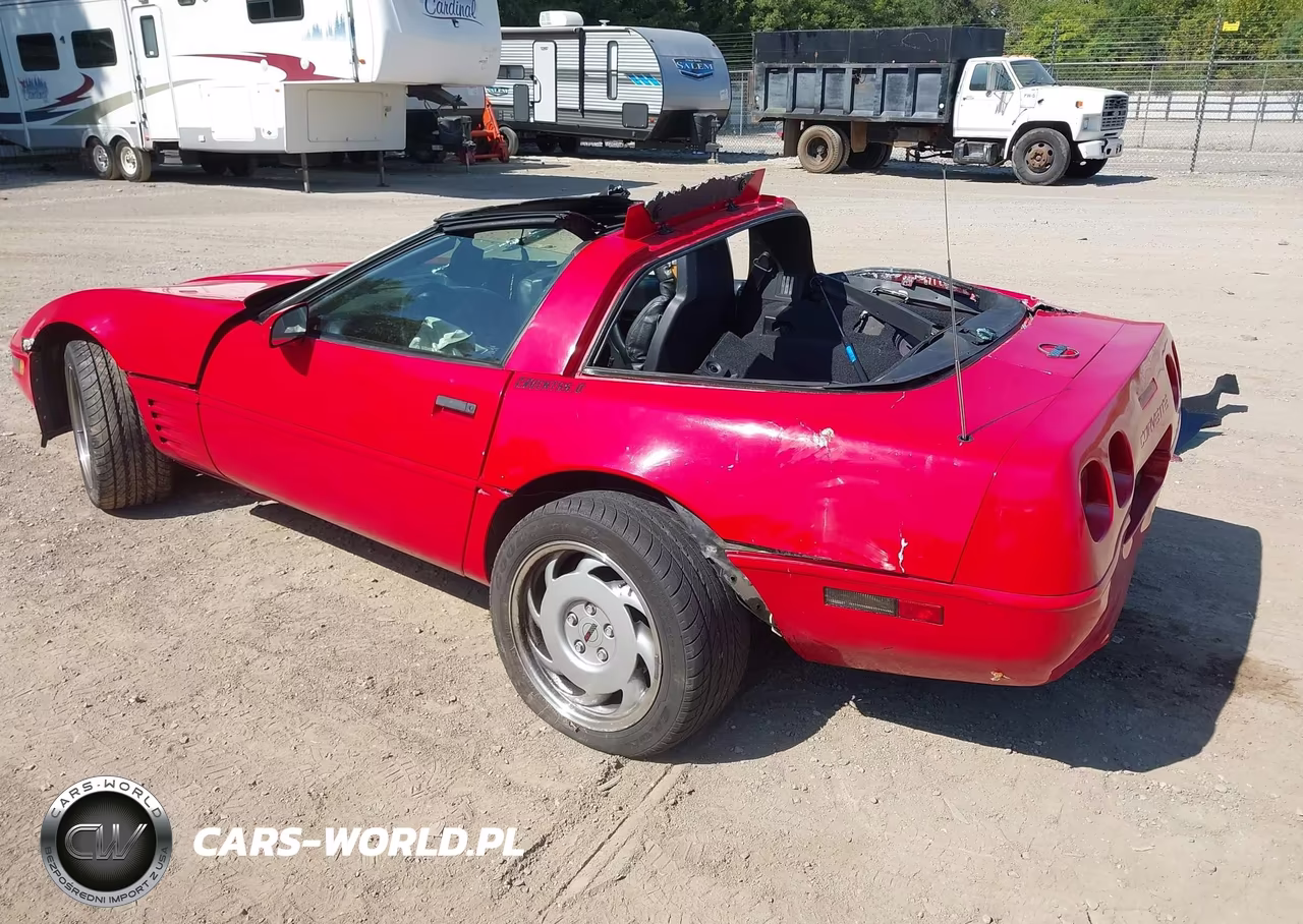 1992 Chevrolet Corvette VIN:1G1YY23P1N5108775 - 3