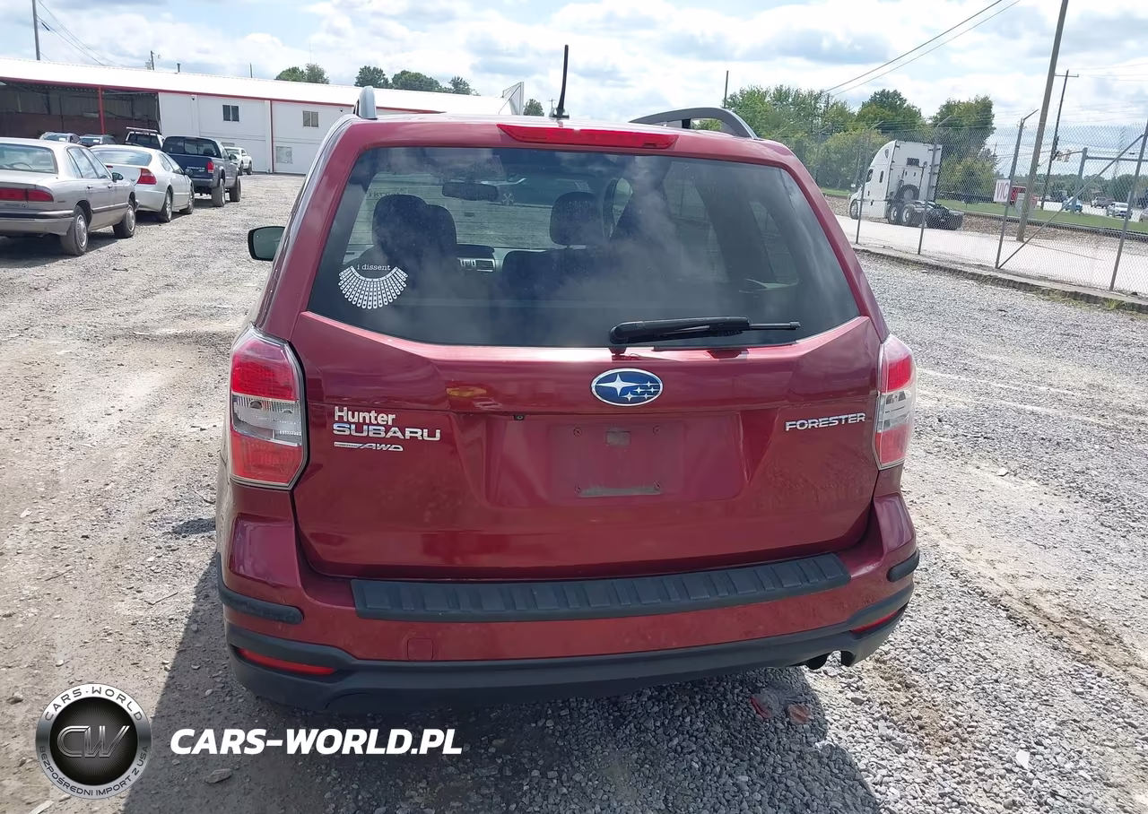 2015 Subaru Forester 2.5I Premium VIN:JF2SJADC3FH559313 - 16