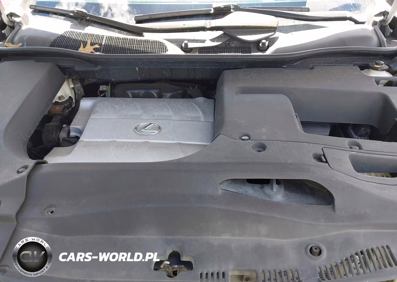 2010 Lexus Rx 350 VIN:2T2BK1BA2AC002947 - 10