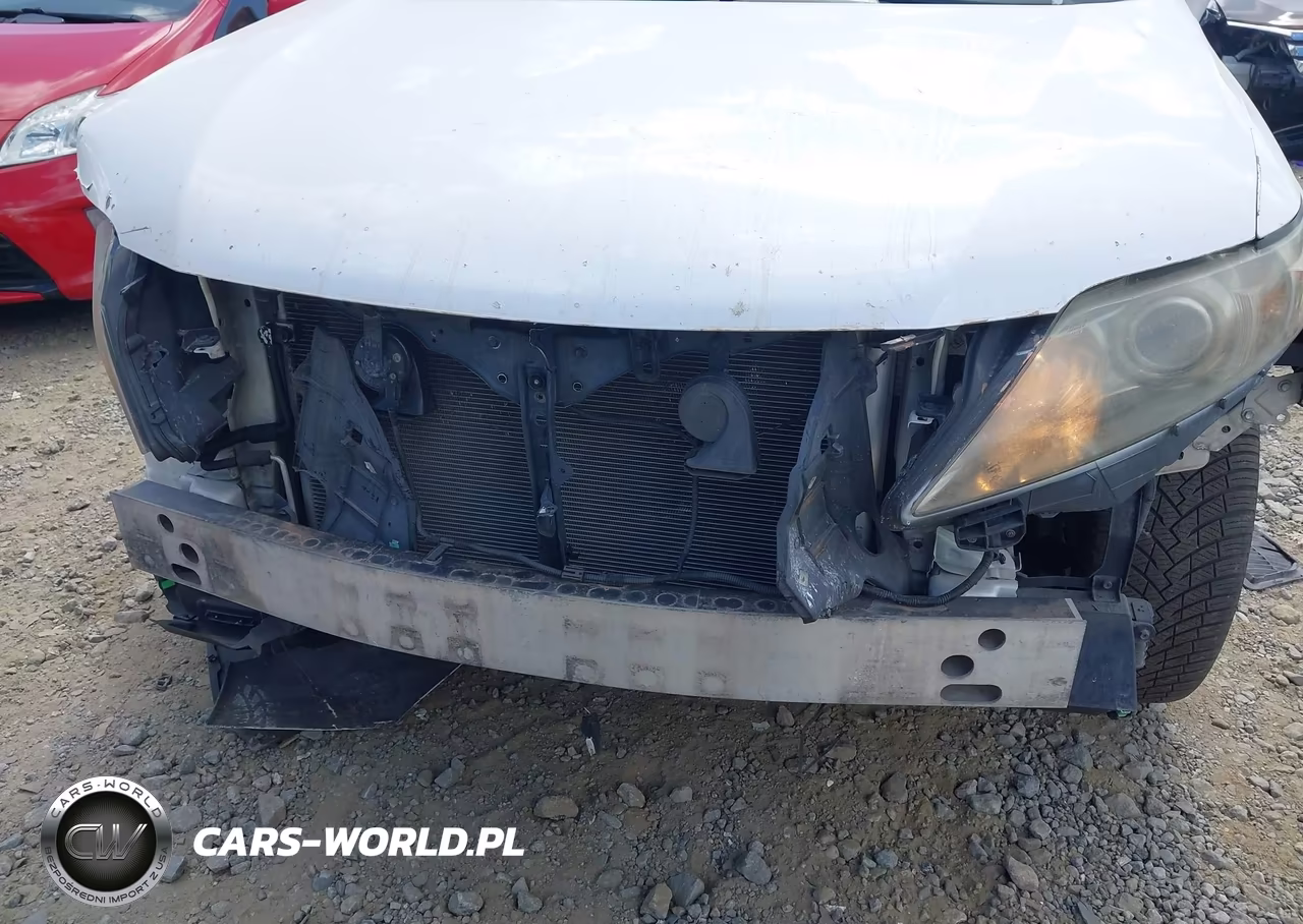 2010 Lexus Rx 350 VIN:2T2BK1BA2AC002947 - 6