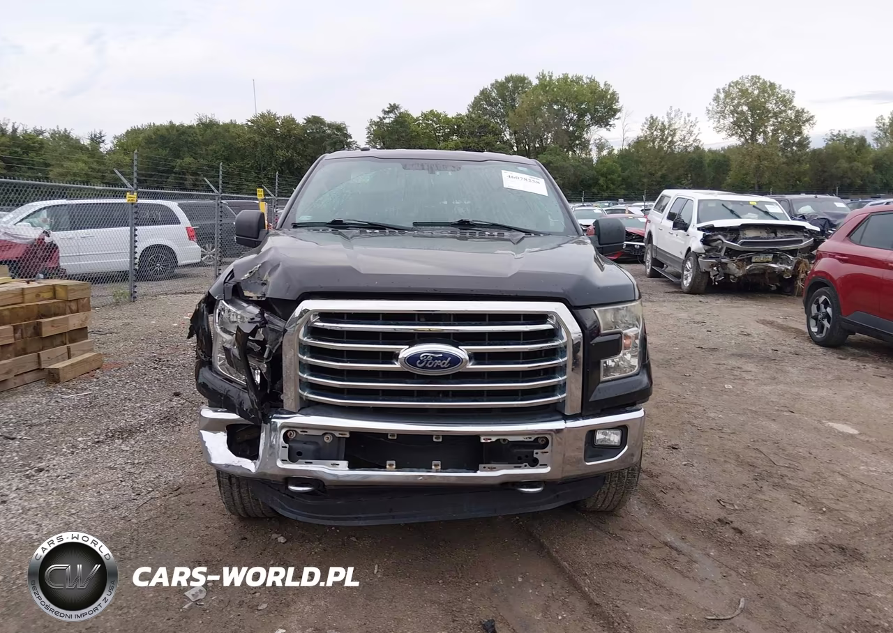 2016 Ford F-150 Xlt VIN:1FTFX1EF5GKE70600 - 12