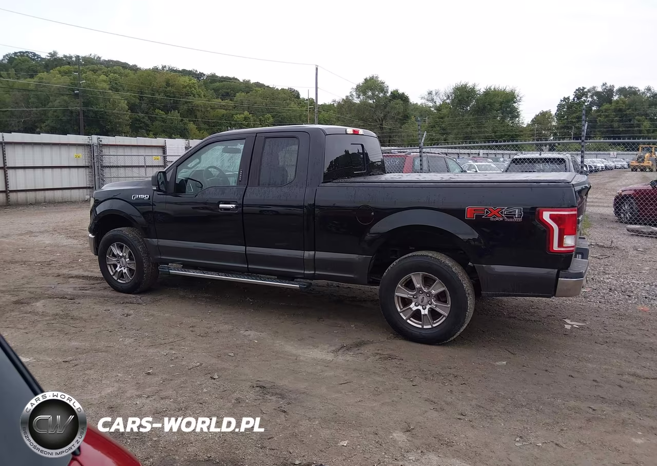 2016 Ford F-150 Xlt VIN:1FTFX1EF5GKE70600 - 14