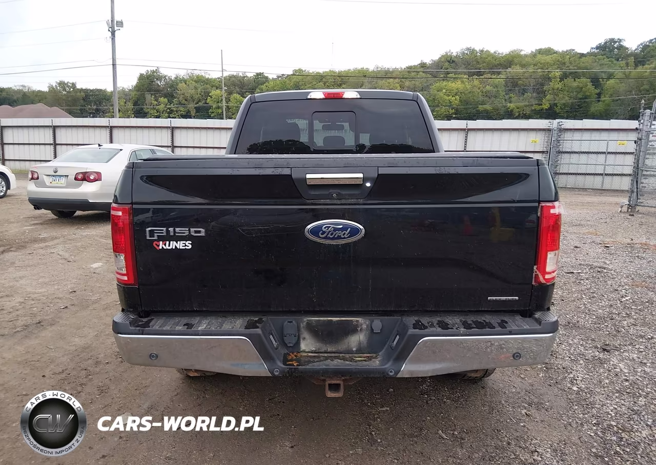 2016 Ford F-150 Xlt VIN:1FTFX1EF5GKE70600 - 16