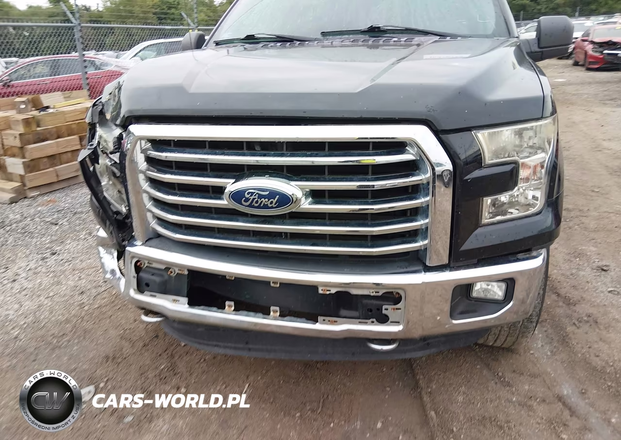 2016 Ford F-150 Xlt VIN:1FTFX1EF5GKE70600 - 18