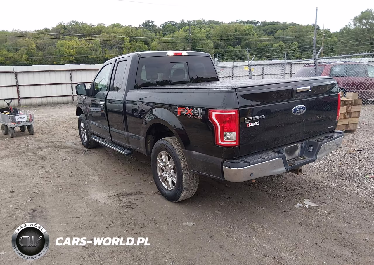 2016 Ford F-150 Xlt VIN:1FTFX1EF5GKE70600 - 3