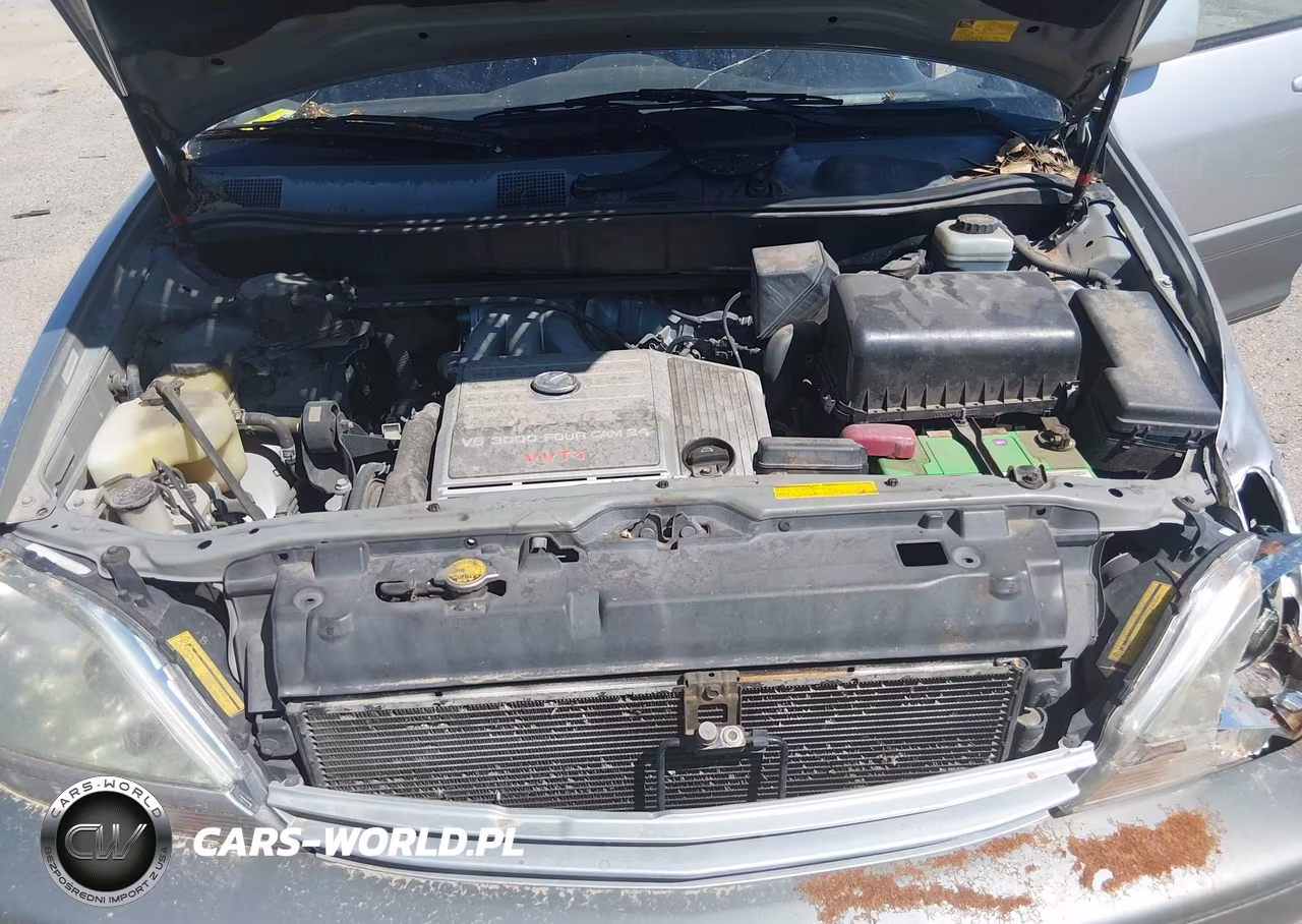 2001 Lexus Rx 300 VIN:JTJGF10U810100903 - 10
