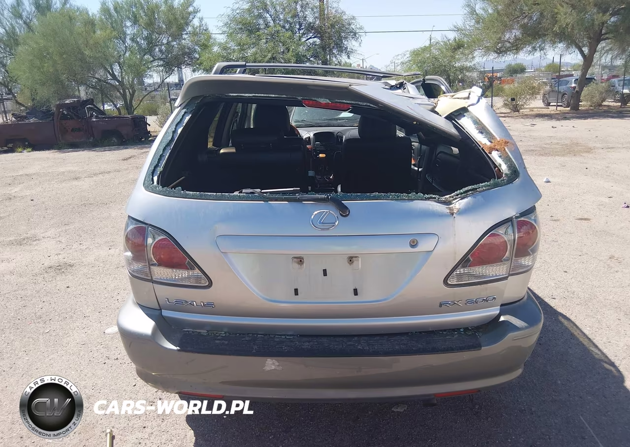 2001 Lexus Rx 300 VIN:JTJGF10U810100903 - 17