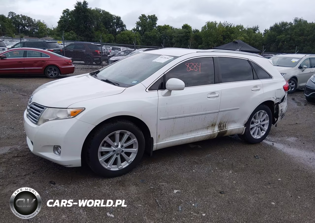 2010 Toyota Venza VIN:4T3ZA3BB7AU025513 - 2