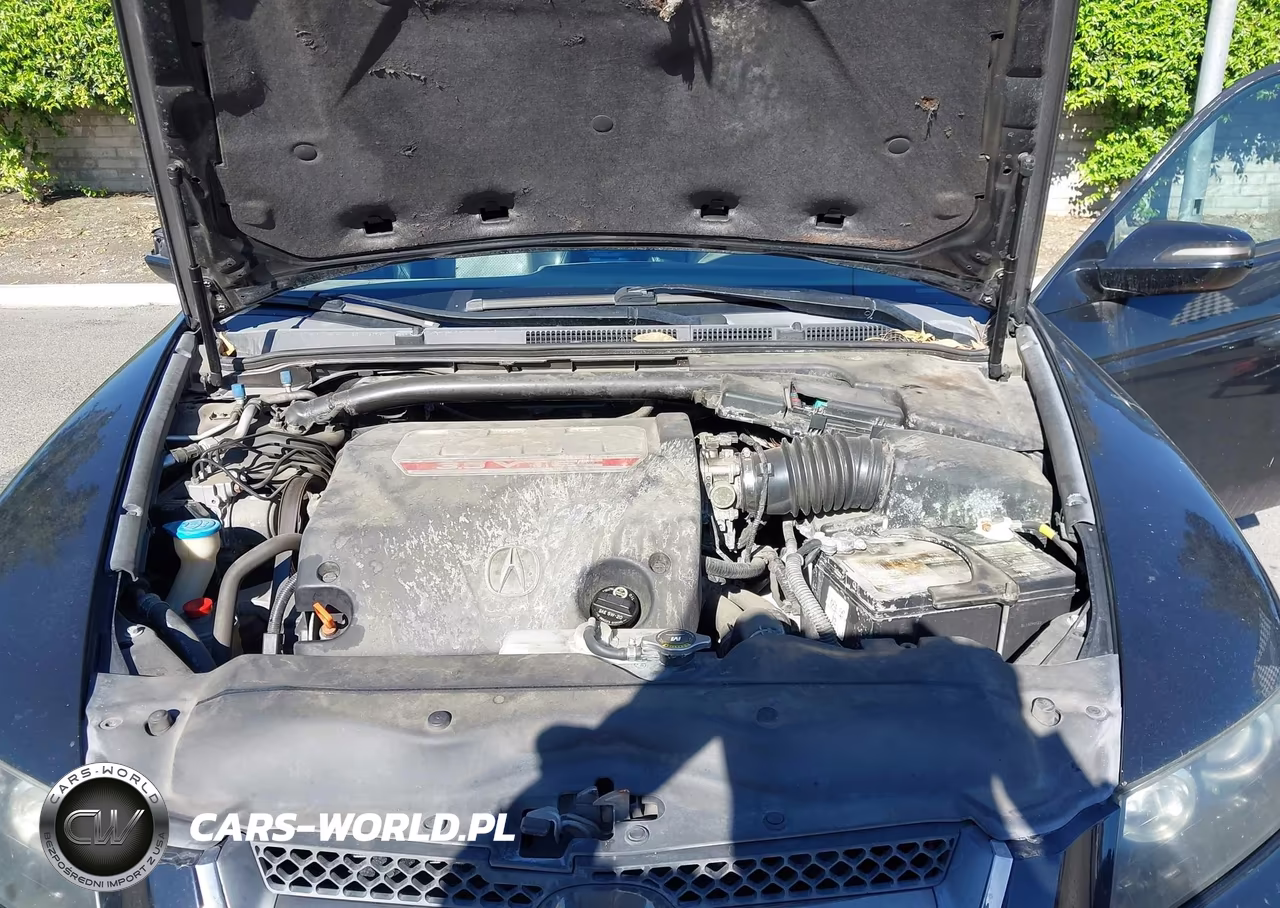 2008 Acura Tl Type S VIN:19UUA76598A045696 - 10