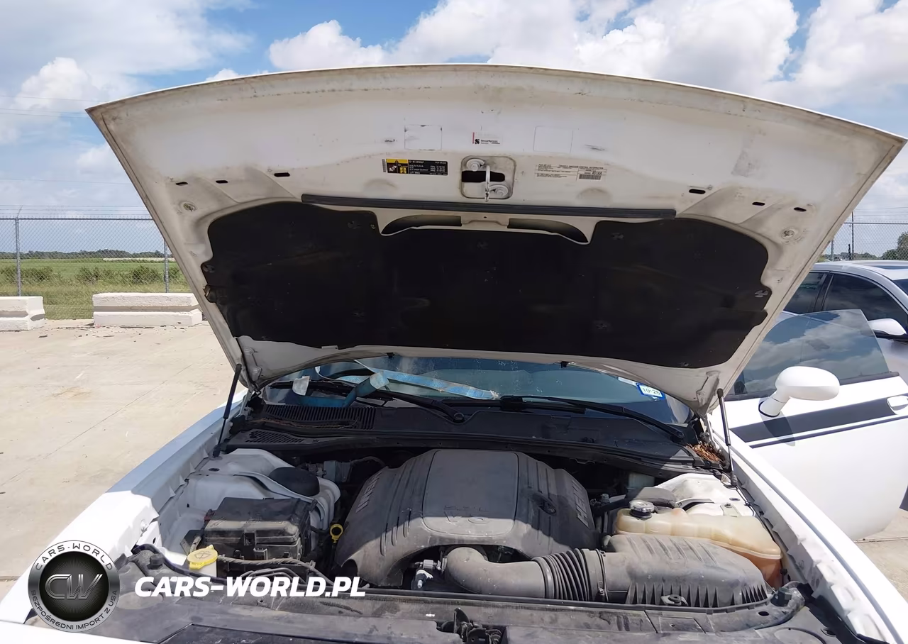 2019 Dodge Challenger R-T VIN:2C3CDZBT6KH526004 - 10