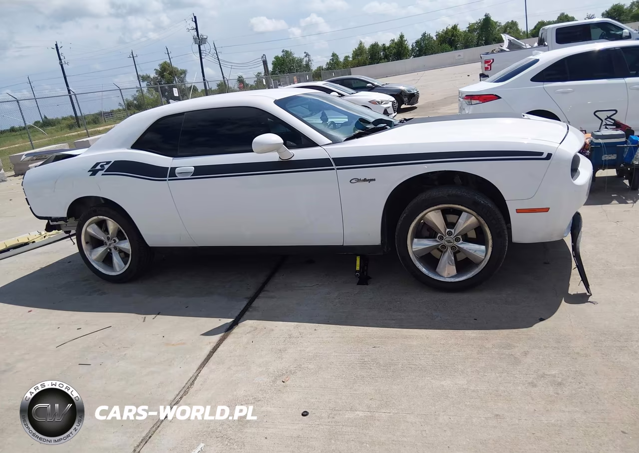 2019 Dodge Challenger R-T VIN:2C3CDZBT6KH526004 - 13