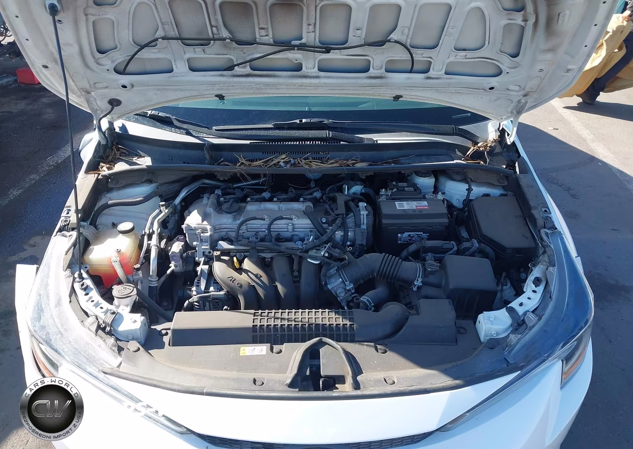 2020 Toyota Corolla Le VIN:5YFEPRAE1LP106676 - 10