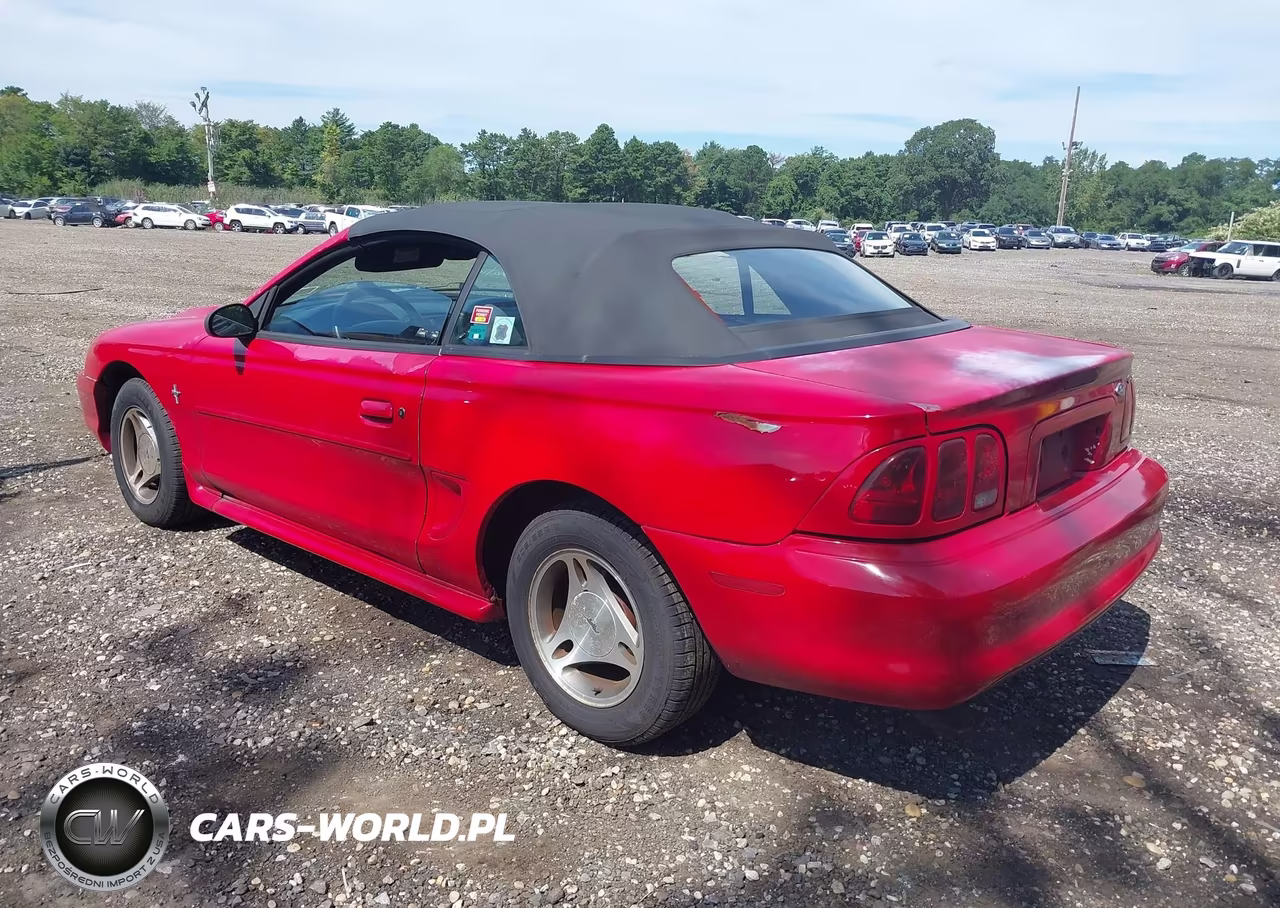 1998 Ford Mustang VIN:1FAFP4444WF141997 - 3