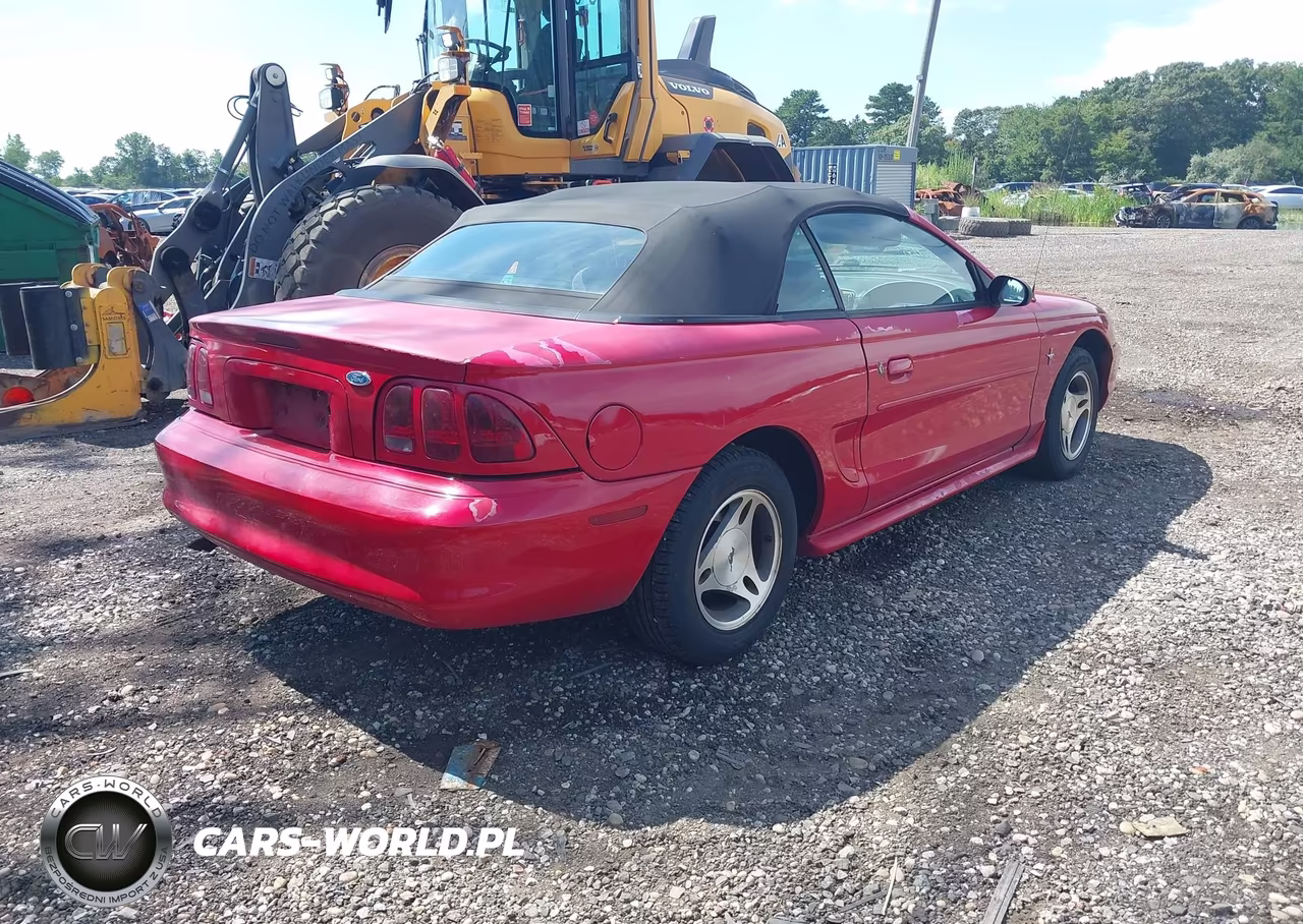 1998 Ford Mustang VIN:1FAFP4444WF141997 - 4