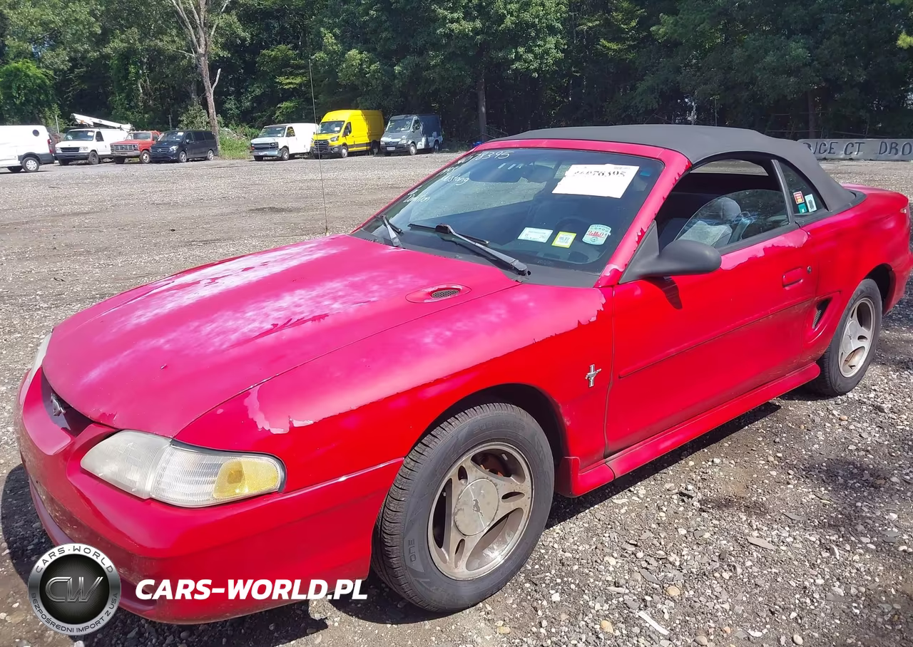 1998 Ford Mustang VIN:1FAFP4444WF141997 - 6