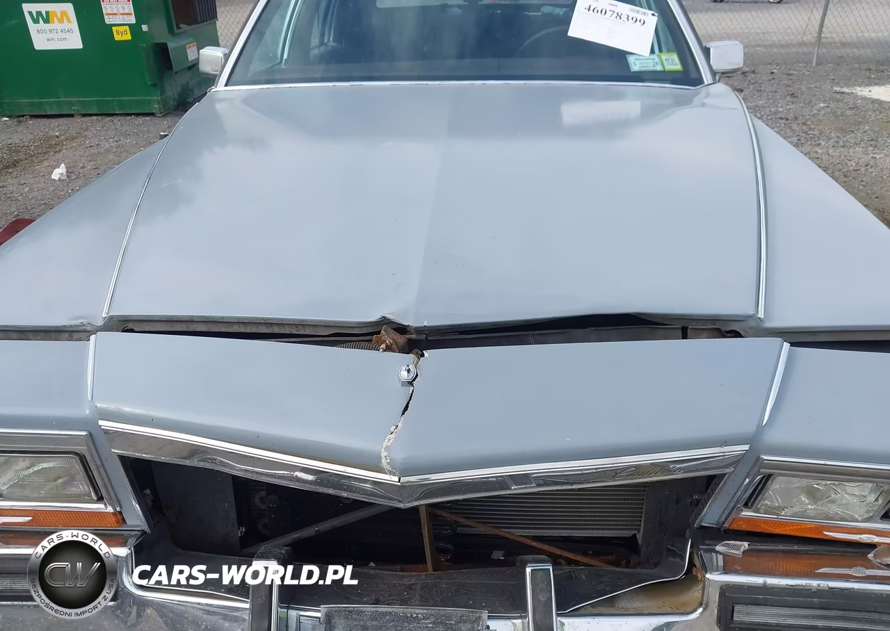 1988 Cadillac Brougham VIN:1G6DW51YXJ9717233 - 10
