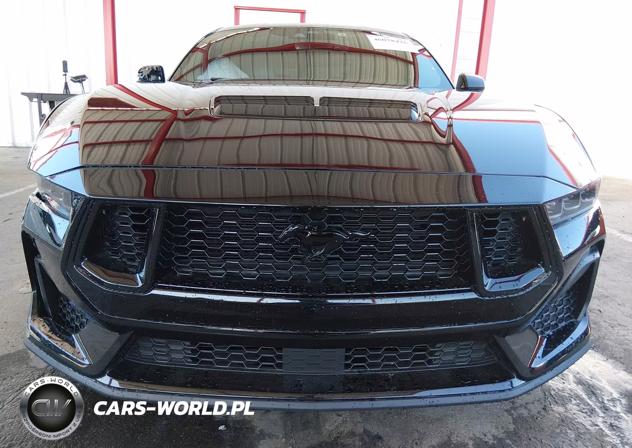 2025 Ford Mustang Gt Premium Fastback VIN:1FA6P8CF0S5411463 - 12