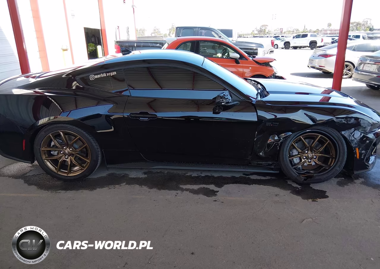 2025 Ford Mustang Gt Premium Fastback VIN:1FA6P8CF0S5411463 - 13
