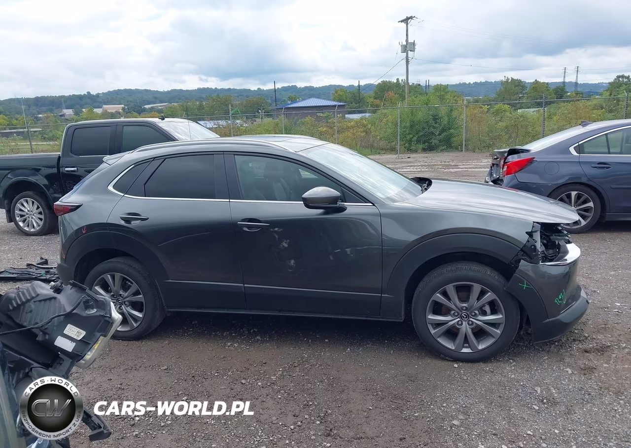 2025 Mazda Cx-30 2.5 S Preferred Package VIN:3MVDMBCMXSM826398 - 14