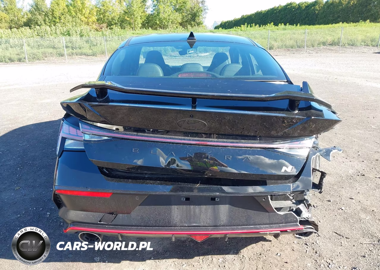 2025 Hyundai Elantra N VIN:KMHLW4DK9SU027395 - 16