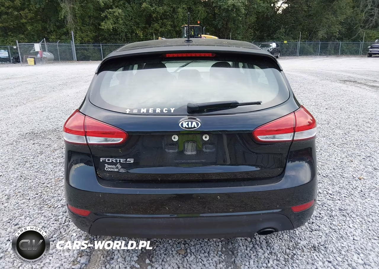 2018 Kia Forte Lx VIN:KNAFK5A85J5774025 - 16
