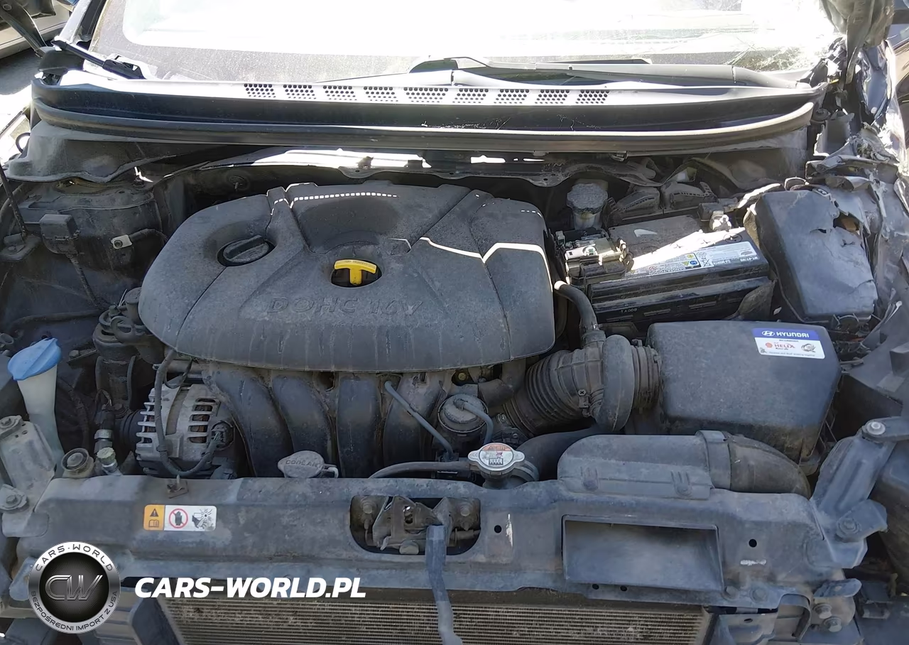 2016 Hyundai Elantra Se VIN:KMHDH4AE7GU541864 - 10