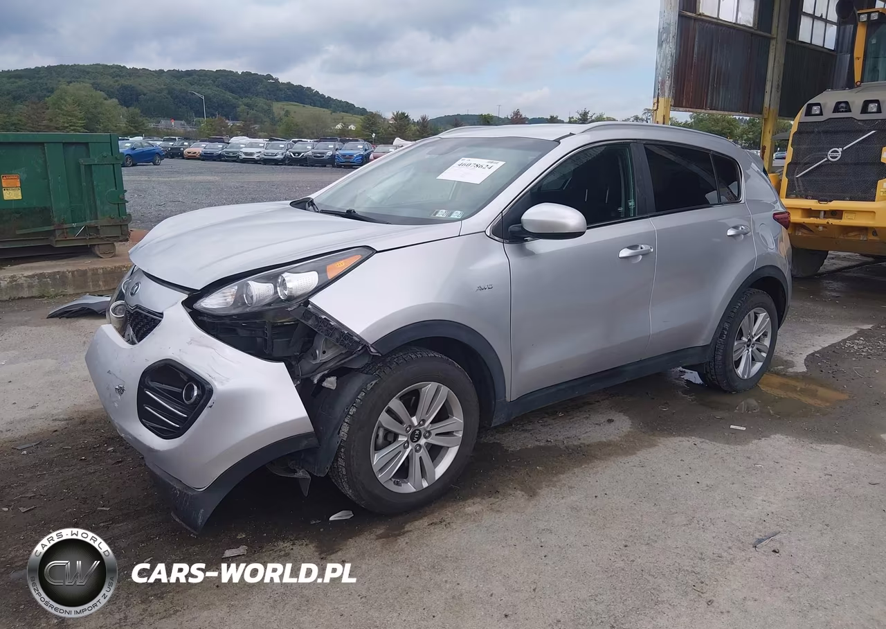 2019 Kia Sportage Lx VIN:KNDPMCAC1K7607953 - 2