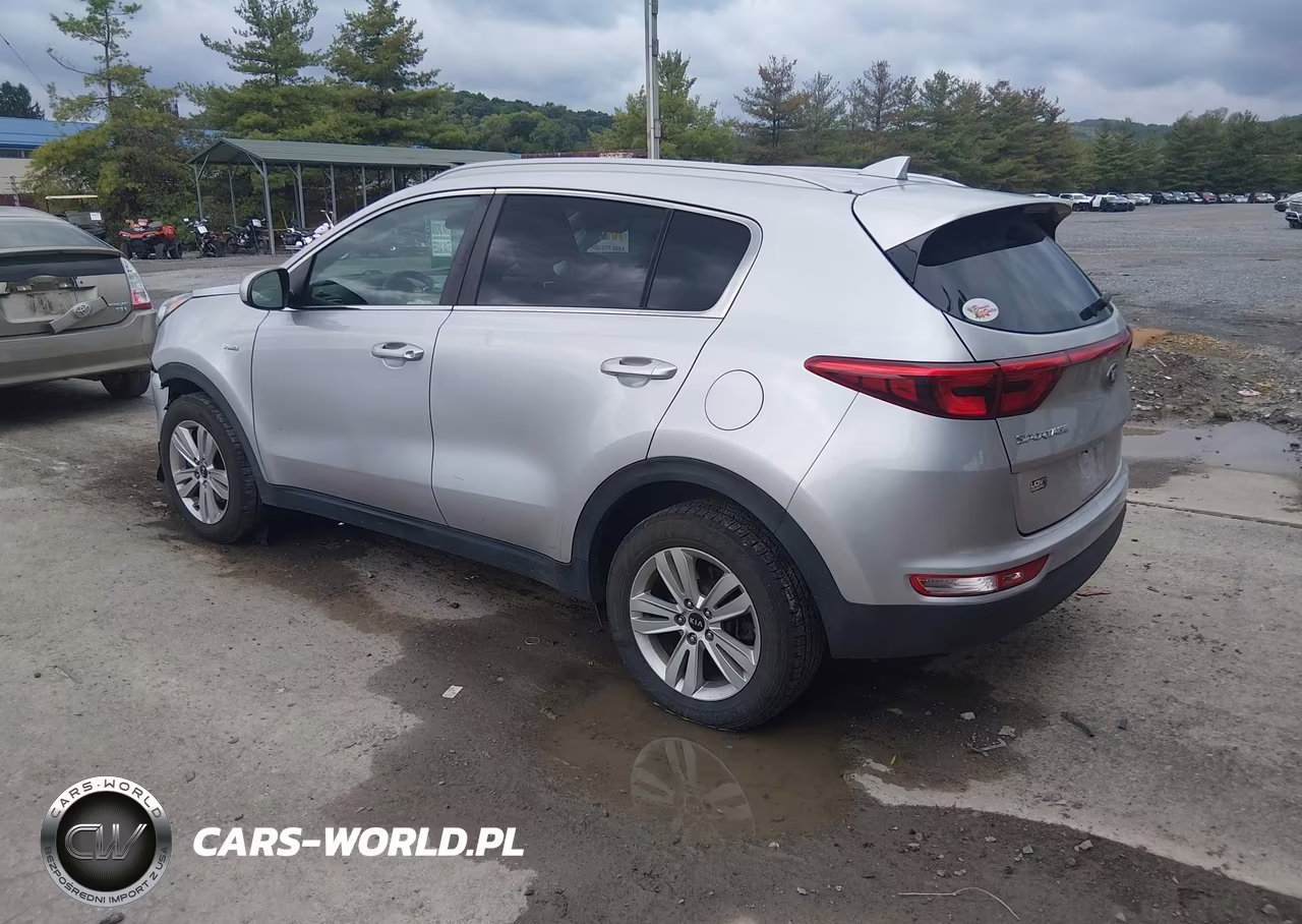 2019 Kia Sportage Lx VIN:KNDPMCAC1K7607953 - 3