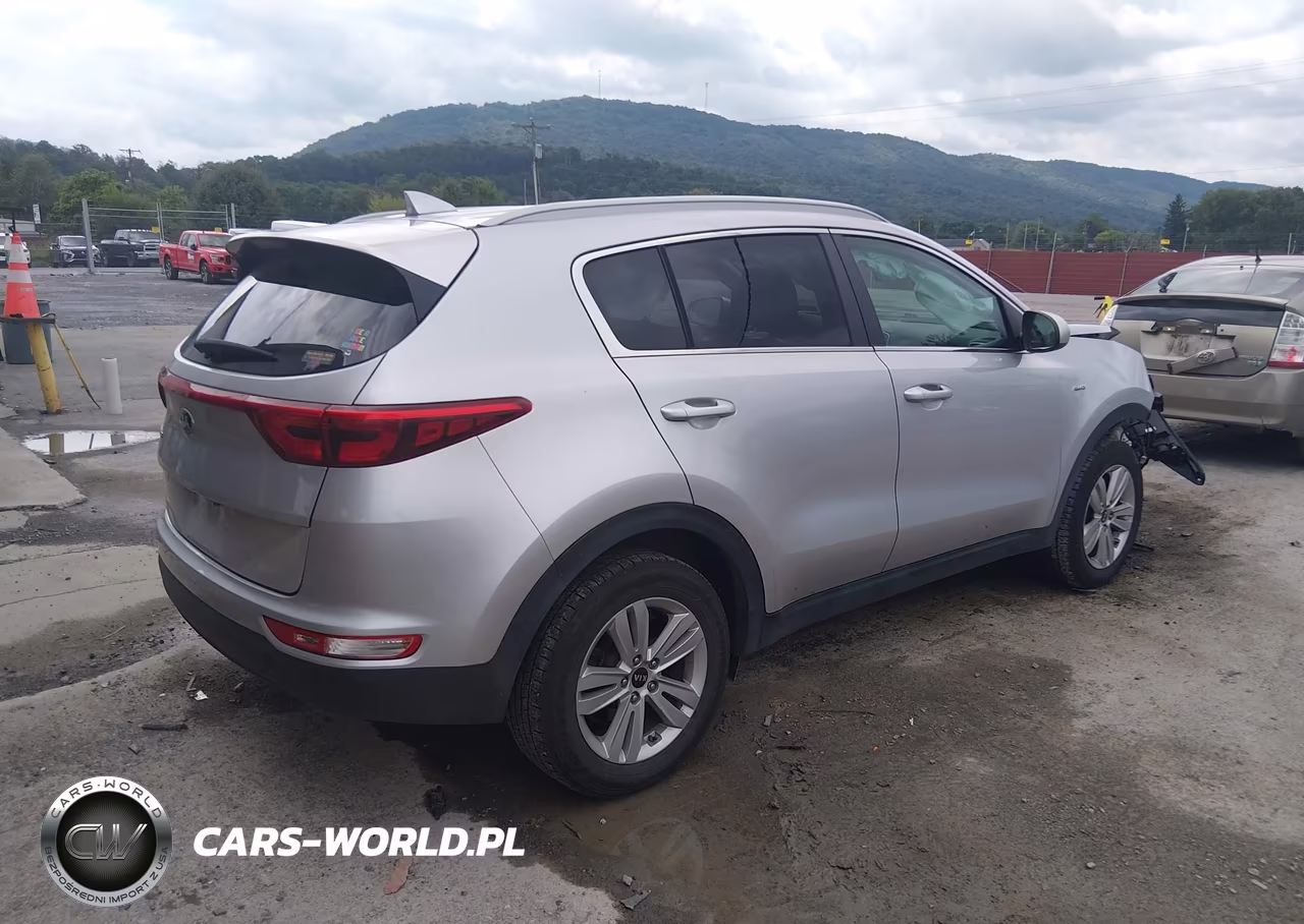2019 Kia Sportage Lx VIN:KNDPMCAC1K7607953 - 4