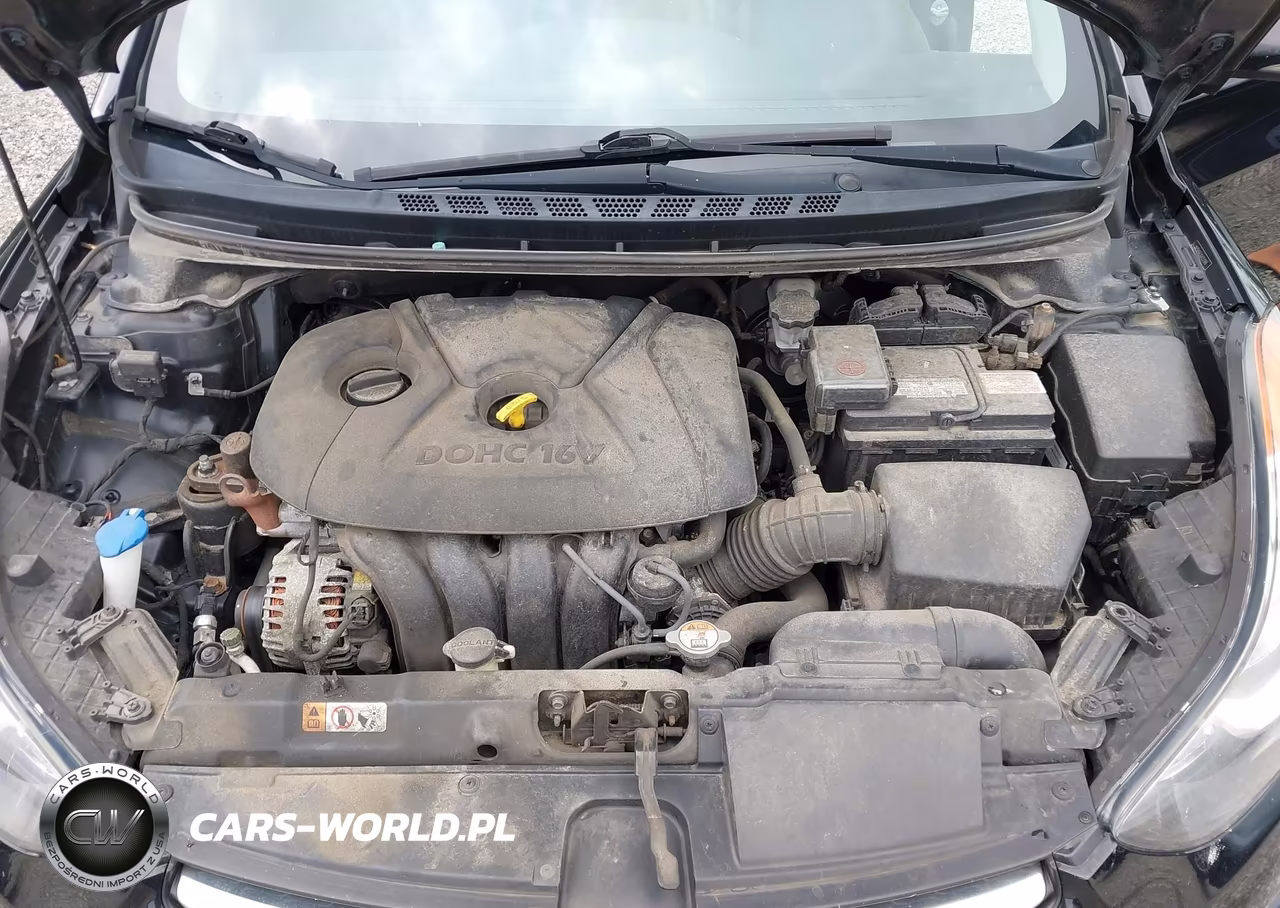 2013 Hyundai Elantra Limited VIN:5NPDH4AEXDH251998 - 10