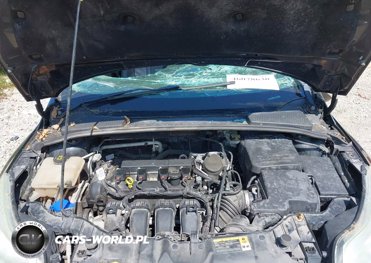 2014 Ford Focus Se VIN:1FADP3K24EL258983 - 10