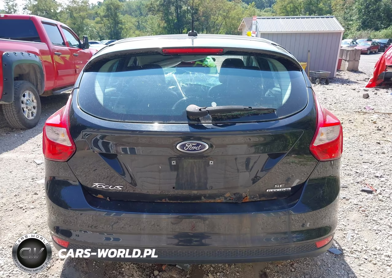 2014 Ford Focus Se VIN:1FADP3K24EL258983 - 16