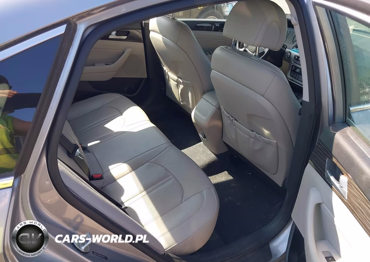 2015 Hyundai Sonata Eco VIN:5NPE24AA6FH161513 - 8