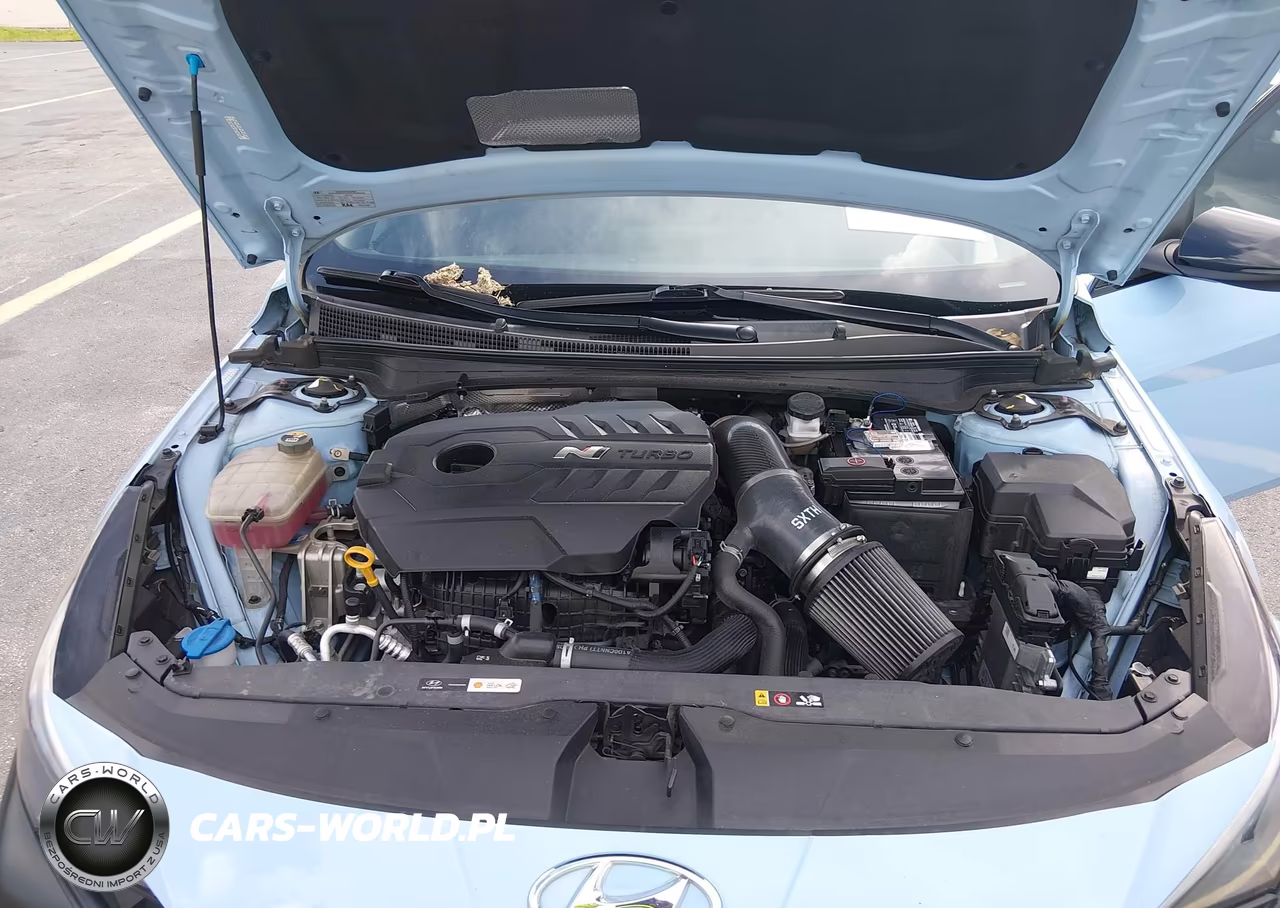 2023 Hyundai Elantra N VIN:KMHLW4AK7PU009036 - 10
