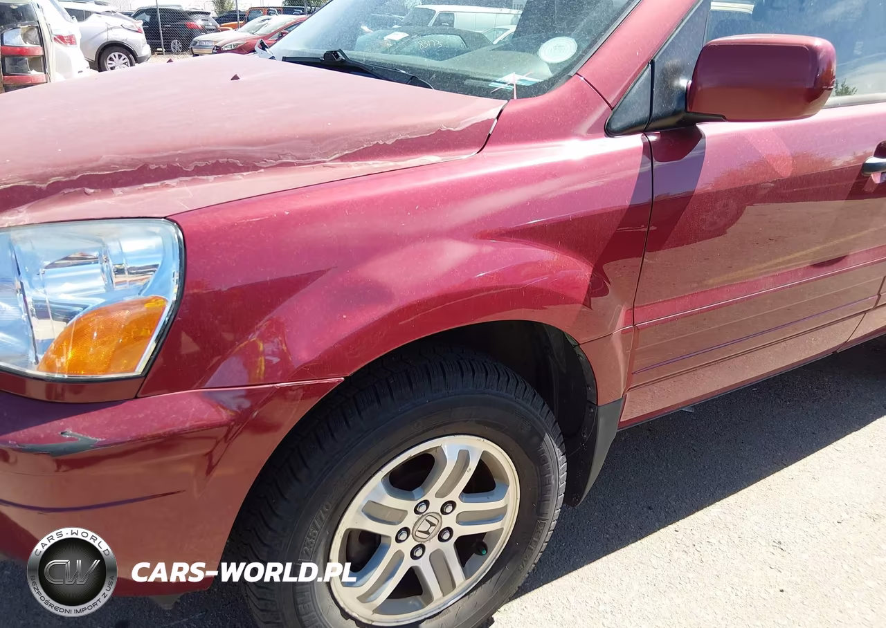 2004 Honda Pilot Ex-L VIN:2HKYF18614H533208 - 13