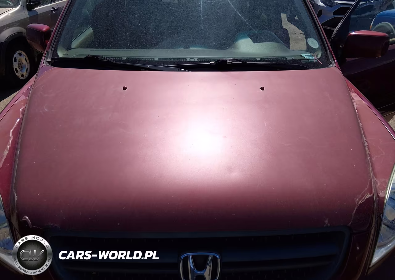 2004 Honda Pilot Ex-L VIN:2HKYF18614H533208 - 6