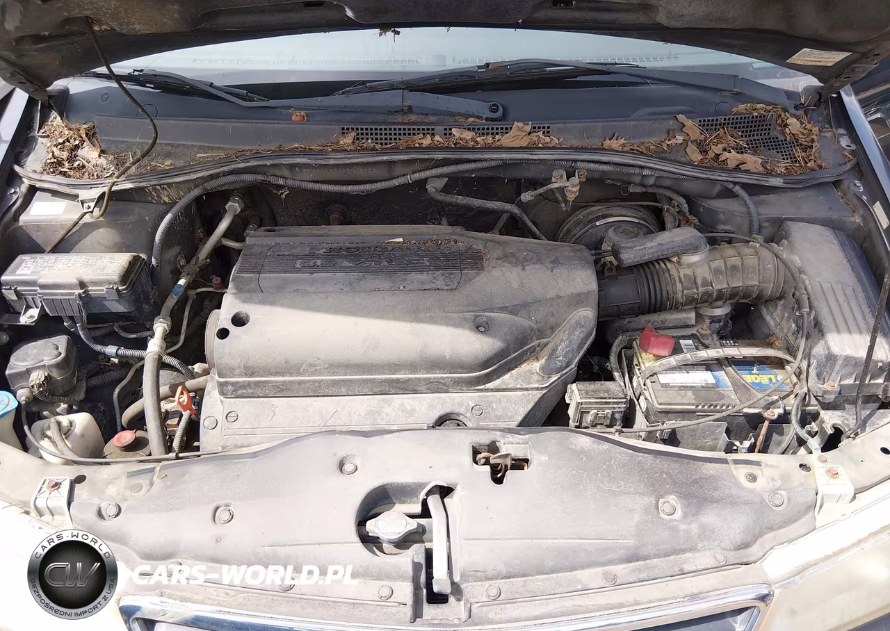 2004 Honda Odyssey Ex VIN:5FNRL18884B098622 - 10