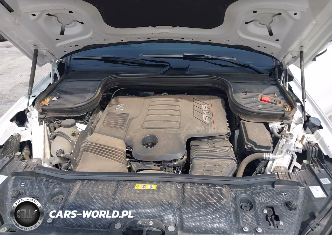 2024 Mercedes-Benz Amg Gle 53 Coupe 4Matic+ VIN:4JGFD6BB6RB151941 - 10