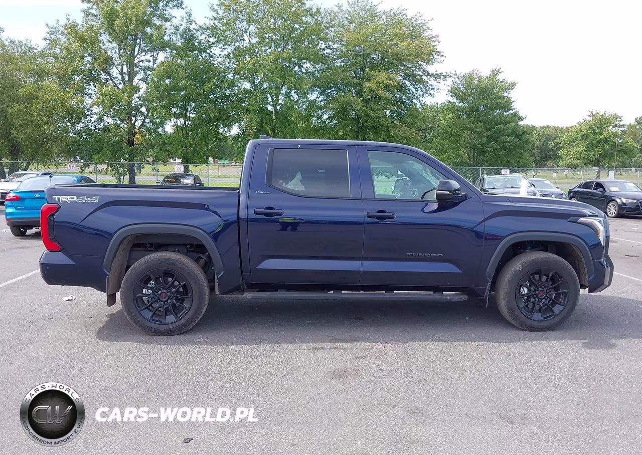 2025 Toyota Tundra Crewmax Limited VIN:5TFWA5DB3SX280720 - 13