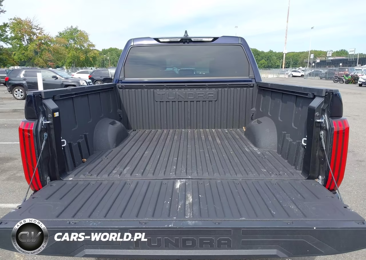 2025 Toyota Tundra Crewmax Limited VIN:5TFWA5DB3SX280720 - 17