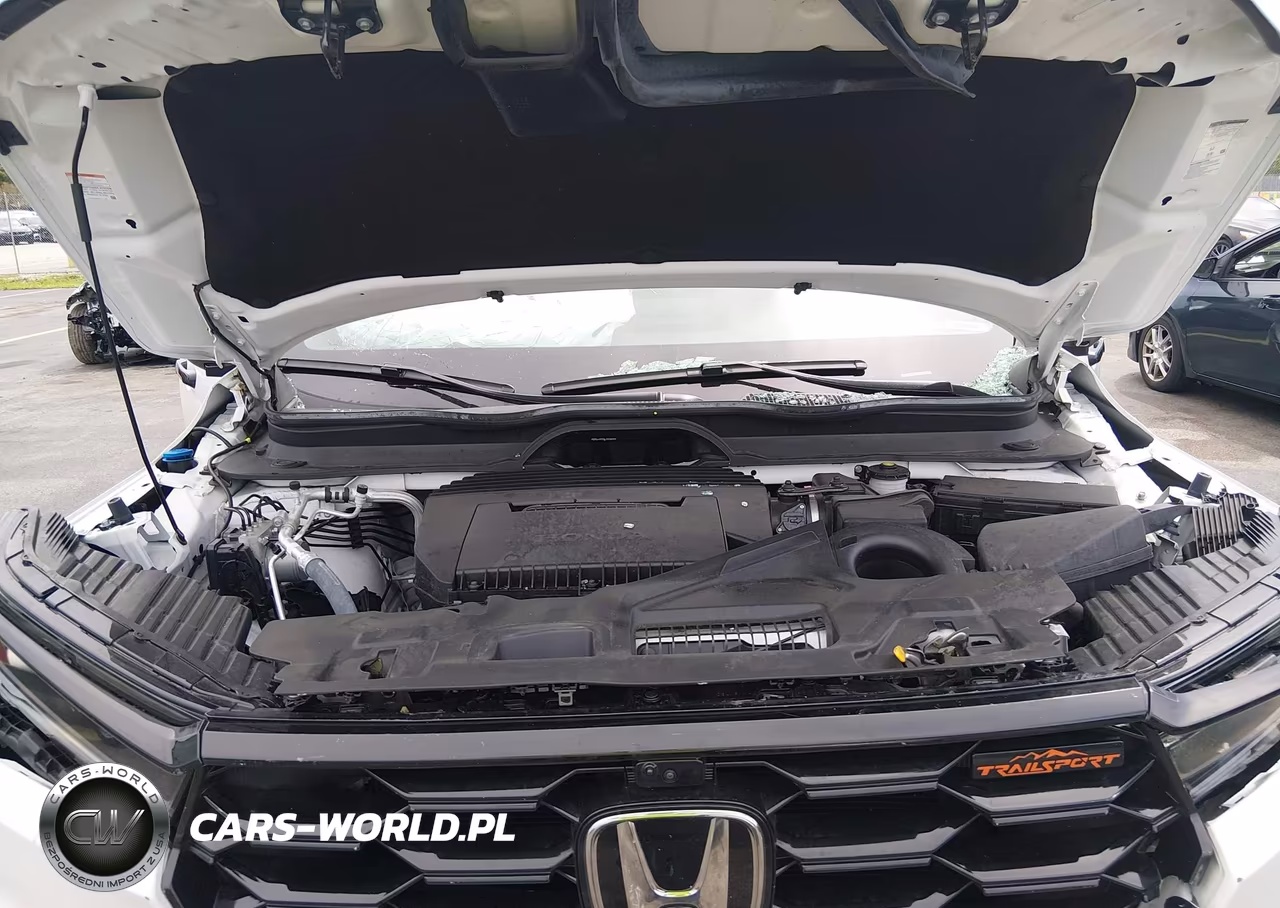 2025 Honda Pilot Trailsport VIN:5FNYG1H61SB121539 - 10