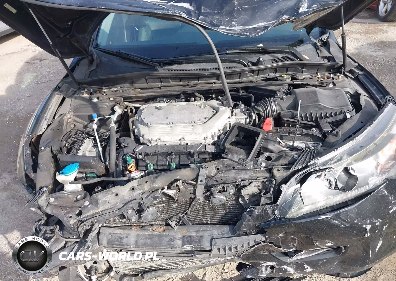 2014 Honda Accord Ex-L V-6 VIN:1HGCR3F82EA000876 - 10