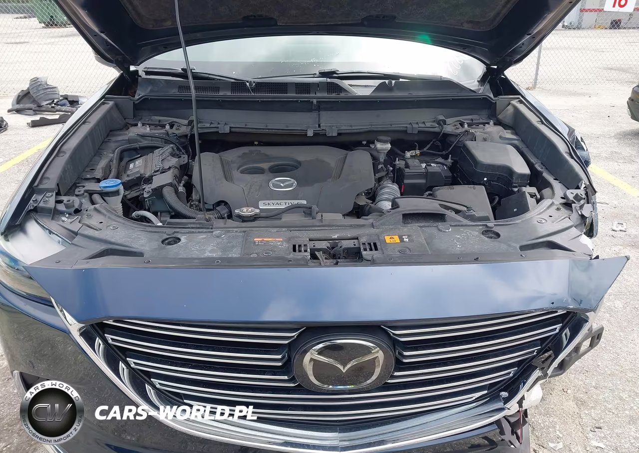 2020 Mazda Cx-9 Grand Touring VIN:JM3TCADY6L0422229 - 10